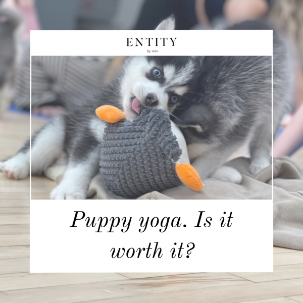 Puppy yoga. Is it worth it?